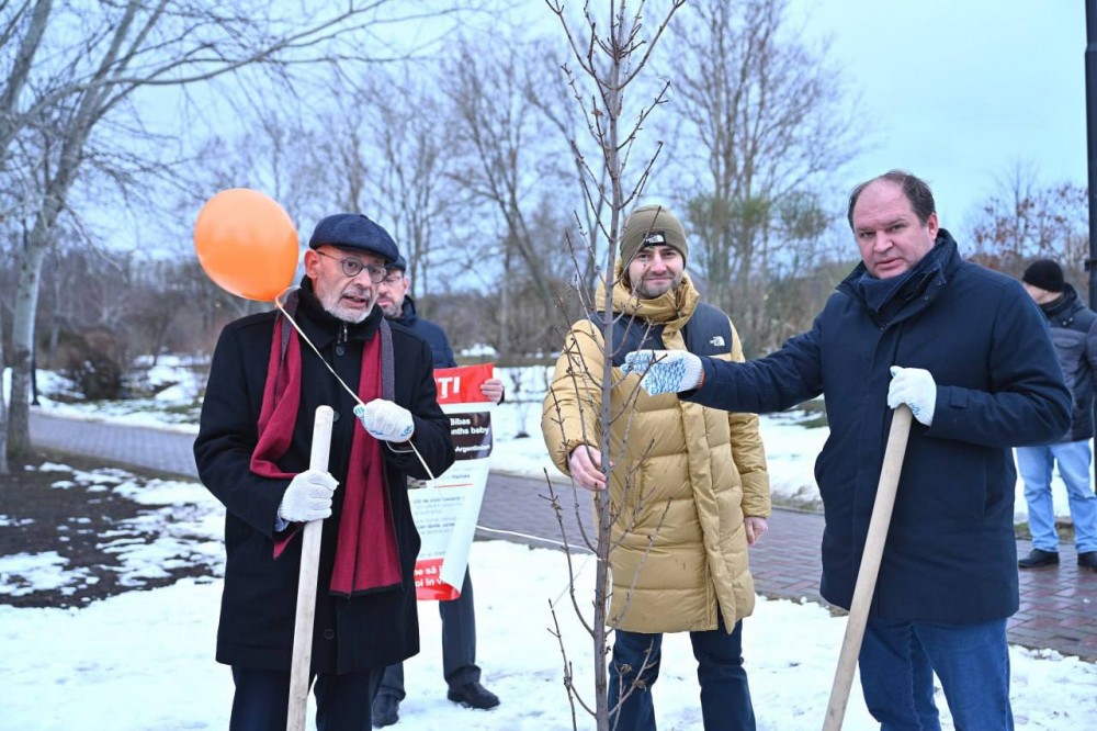 Arbore plantat ca simbol al solidarității cu Israelul în Parcul „Dendrariu” din Capitală